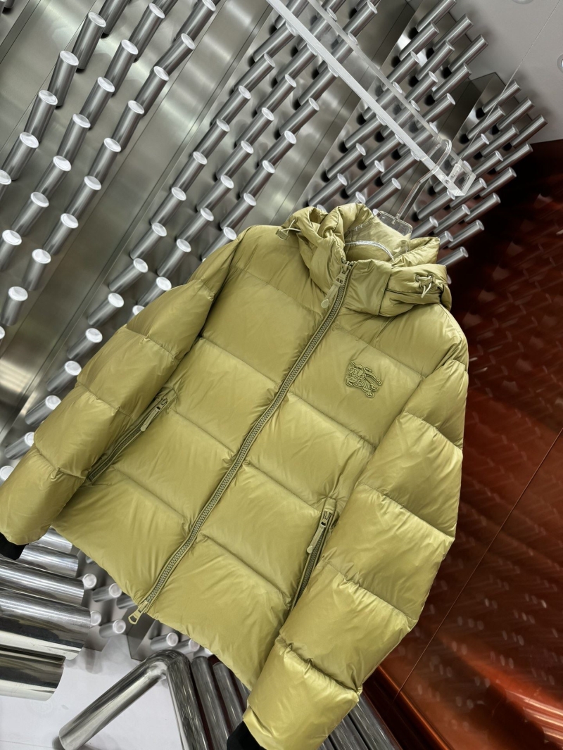 Balenciaga Down Coat